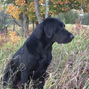 Meet your Posher, Gary